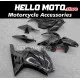 Kawasaki Ninja 250R 2008-2012 Fairing P/N 4V9