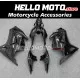 Kawasaki Ninja 250R 2008-2012 Fairing P/N 4V9