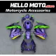 Kawasaki Ninja 250R 2008-2012 Fairing P/N 4V6 Kawasaki Ninja 250R 2008-2012 Fairing P/N 4V6