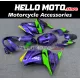Kawasaki Ninja 250R 2008-2012 Fairing P/N 4V6 Kawasaki Ninja 250R 2008-2012 Fairing P/N 4V6