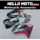 Kawasaki Ninja 250R 2008-2012 Fairing P/N 4V10