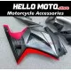 Kawasaki Ninja 250R 2008-2012 Fairing P/N 4V10