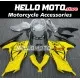 Kawasaki Ninja 300 2013-2018 Fairing P/N 4W1