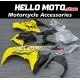Kawasaki Ninja 300 2013-2018 Fairing P/N 4W1