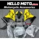 Kawasaki Ninja 300 2013-2018 Fairing P/N 4W1