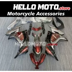 Kawasaki Ninja 300 2013-2018 Fairing P/N 4W3