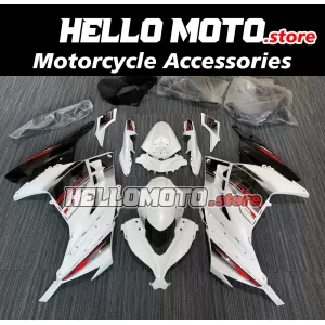 Kawasaki Ninja 300 2013-2018 Fairing P/N 4W5