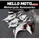 Kawasaki Ninja 300 2013-2018 Fairing P/N 4W5