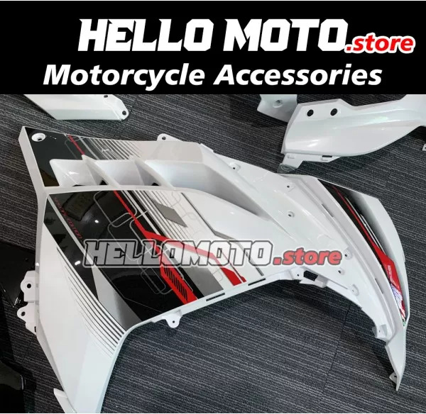 Kawasaki Ninja 300 2013-2018 Fairing P/N 4W5