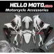 Kawasaki Ninja 300 2013-2018 Fairing P/N 4W5