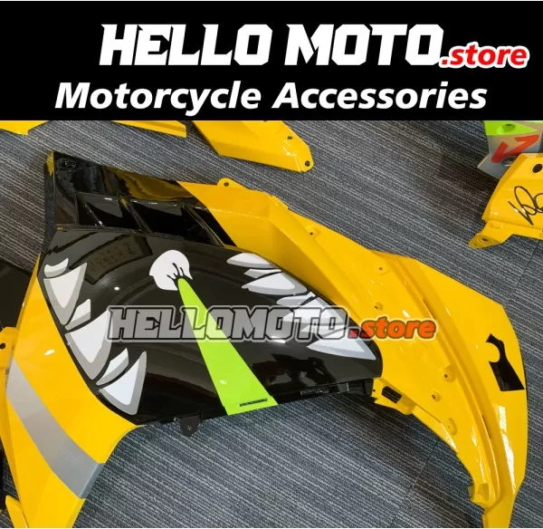 Kawasaki Ninja 300 2013-2018 Fairing P/N 4W6