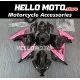 Kawasaki Ninja 300 2013-2018 Fairing P/N 4W7
