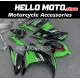 Kawasaki Ninja 300 2013-2018 Fairing P/N 4W10 Kawasaki Ninja 300 2013-2018 Fairing P/N 4W10