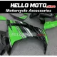 Kawasaki Ninja 300 2013-2018 Fairing P/N 4W10 Kawasaki Ninja 300 2013-2018 Fairing P/N 4W10