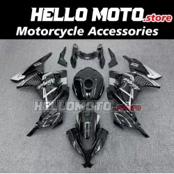 Kawasaki Ninja 300 2013-2018 Fairing P/N 4W14