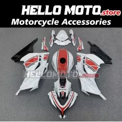 Kawasaki Ninja 300 2013-2018 Fairing P/N 4W15