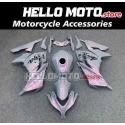 Kawasaki Ninja 300 2013-2018 Fairing P/N 4W16