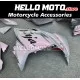 Kawasaki Ninja 300 2013-2018 Fairing P/N 4W16