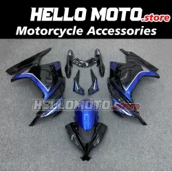 Kawasaki Ninja 300 2013-2018 Fairing P/N 4W13