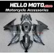 Kawasaki Ninja 300 2013-2018 Fairing P/N 4W17