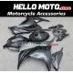 Kawasaki Ninja 300 2013-2018 Fairing P/N 4W17
