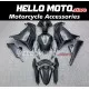 Kawasaki Ninja 300 2013-2018 Fairing P/N 4W17