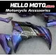 Kawasaki Ninja 300 2013-2018 Fairing P/N 4W18 Kawasaki Ninja 300 2013-2018 Fairing P/N 4W18