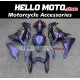 Kawasaki Ninja 300 2013-2018 Fairing P/N 4W18 Kawasaki Ninja 300 2013-2018 Fairing P/N 4W18