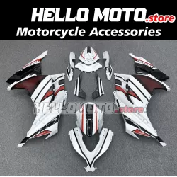 Kawasaki Ninja 300 2013-2018 Fairing P/N 4W2