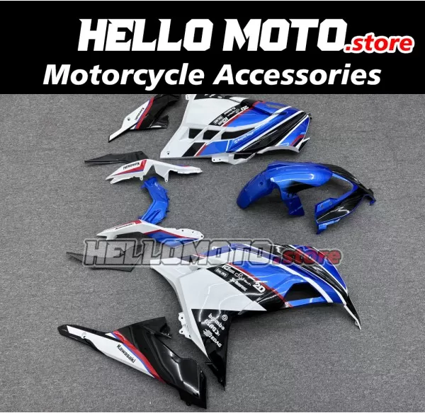 Kawasaki Ninja 300 2013-2018 Fairing P/N 4W23