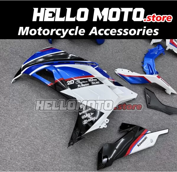 Kawasaki Ninja 300 2013-2018 Fairing P/N 4W23
