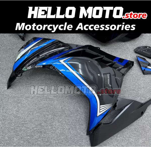 Kawasaki Ninja 300 2013-2018 Fairing P/N 4W13