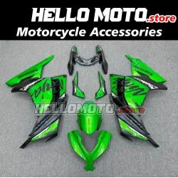 Kawasaki Ninja 300 2013-2018 Fairing P/N 4W21