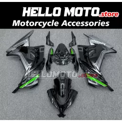Kawasaki Ninja 300 2013-2018 Fairing P/N 4W12