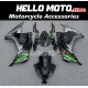 Kawasaki Ninja 300 2013-2018 Fairing P/N 4W12