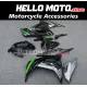Kawasaki Ninja 300 2013-2018 Fairing P/N 4W12