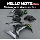Kawasaki Ninja 300 2013-2018 Fairing P/N 4W12