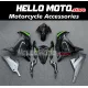 Kawasaki Ninja 300 2013-2018 Fairing P/N 4W12