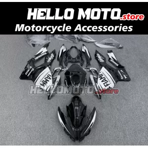 Kawasaki Ninja 400 2018-2024 Fairing P/N 4X9