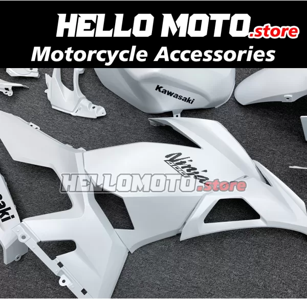 Kawasaki Ninja 400 2018-2024 Fairing P/N 4X13