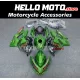 Kawasaki Ninja 400 2018-2024 Fairing P/N 4X14