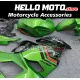 Kawasaki Ninja 400 2018-2024 Fairing P/N 4X14
