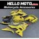 Kawasaki Ninja 400 2018-2024 Fairing P/N 4X25