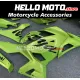 Kawasaki Ninja 400 2018-2024 Fairing P/N 4X26