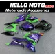 Kawasaki Ninja 400 2018-2024 Fairing P/N 4X28