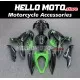Kawasaki Ninja 400 2018-2024 Fairing P/N 4X32