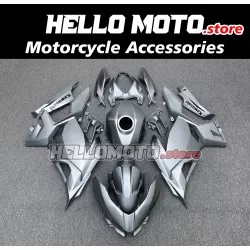 Kawasaki Ninja 400 2018-2024 Fairing P/N 4X34