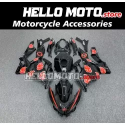 Kawasaki Ninja 400 2018-2024 Fairing P/N 4X36