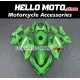 Kawasaki Ninja 400 2018-2024 Fairing P/N 4X37