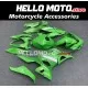 Kawasaki Ninja 400 2018-2024 Fairing P/N 4X37